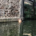 La Grulla Dorada * Perales del Puerto