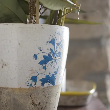 La Grulla Dorada Casa de Campo *