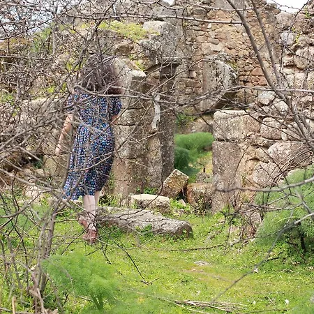 La Grulla Dorada Casa de Campo Perales del Puerto