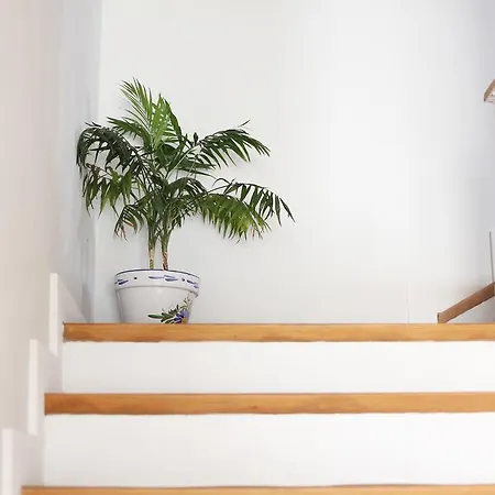 La Grulla Dorada Casa de Campo *