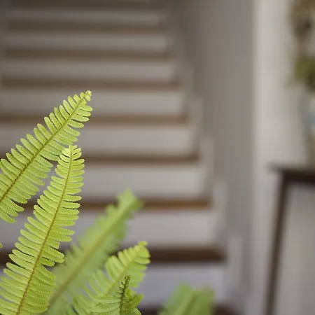 La Grulla Dorada Perales del Puerto