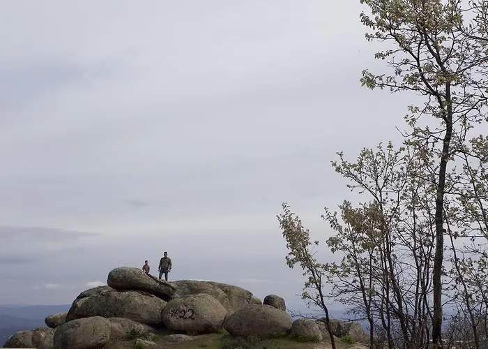 La Grulla Dorada Perales del Puerto