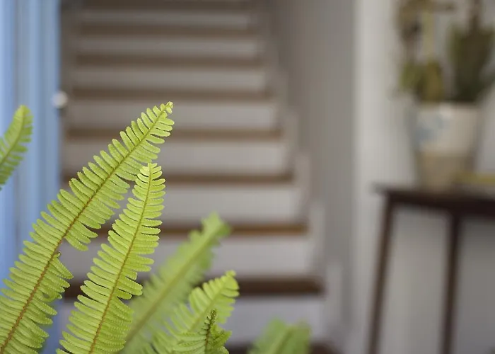 La Grulla Dorada Perales del Puerto